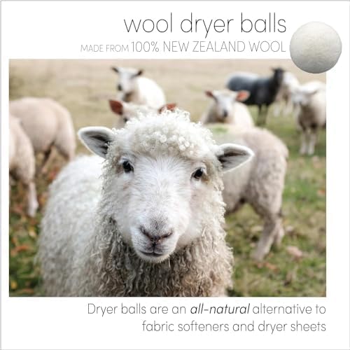 Three by Three Seattle Felt·Like·it!™ XL Wool Dryer Balls + Storage Bin: Reduce - Image 6