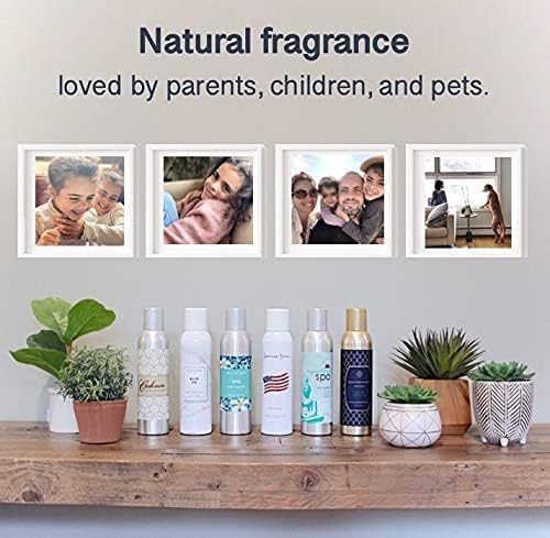 AP Fragrance Belfair Oaks Room Fragrance Air Freshener Spray - Image 3