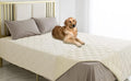 Ameritex Waterproof Dog Bed Cover Pet Blanket by Ameritex