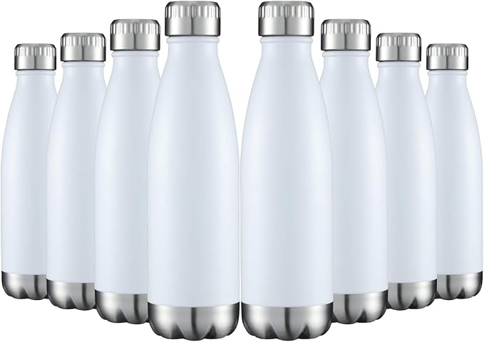 HASLE OUTFITTERS 17oz Stainless Steel Water Bottles Bulk, Vacuum Insulated by HASLEOUTFITTERS