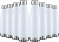 HASLE OUTFITTERS 17oz Stainless Steel Water Bottles Bulk, Vacuum Insulated by HASLEOUTFITTERS