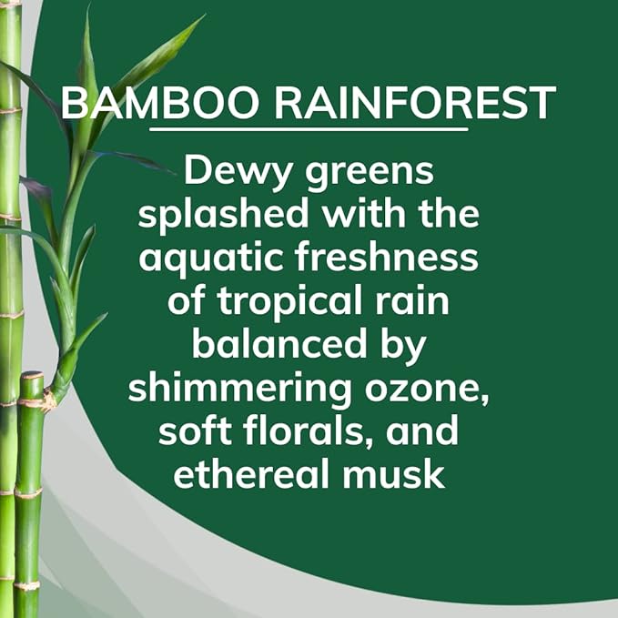 Citrus Magic Solid Air Freshener, Bamboo Rainforest - Image 3