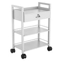 Paddie Salon Trolley Cart, Wooden Mobile Utility Cabinet Lab Cart by Paddie