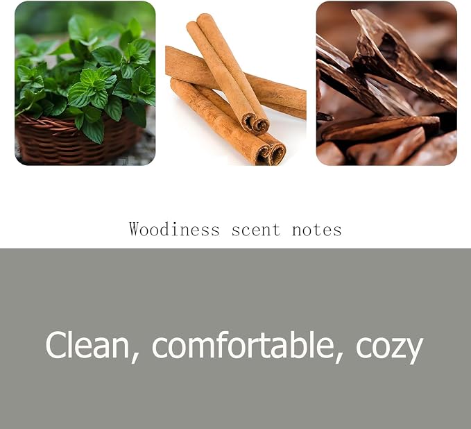 Car Air Freshener, Woodiness Air Freshener, Odor Eliminator, Woodiness Scent - Image 5