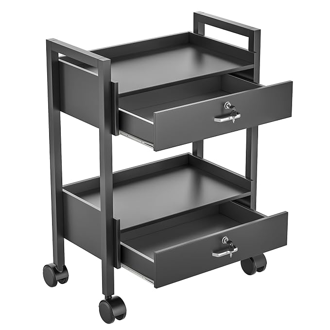 Paddie Salon Trolley Cart, Salon Tray Wooden Mobile Utility Cabinet - Image 4