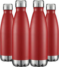 HASLE OUTFITTERS 17oz Stainless Steel Water Bottles Bulk, Vacuum Insulated by HASLEOUTFITTERS