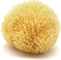Neptune Caribbean Sea Sponge, Hand Cut, Approx. 4-5 inches by Unknown