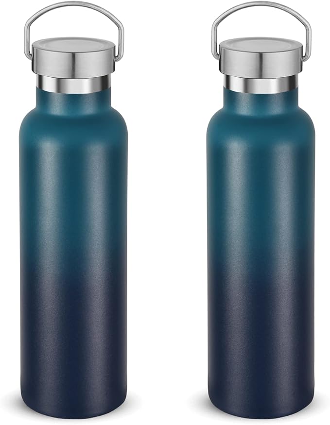 Neihepal 20 oz Insulated Water Bottles Bulk 2 Pack, Stainless Steel Double Wall by Neihepal