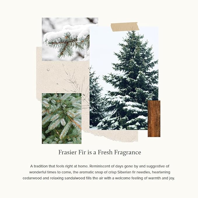 Thymes Frasier Fir All-Purpose Cleaning Wipes – Multi-Purpose Cleaning Wipes – - Image 3