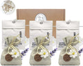 6-Pack Fresh Scented Sachet Packet, Air Freshener Bags by Unknown
