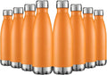 HASLE OUTFITTERS 17oz Stainless Steel Water Bottles Bulk, Vacuum Insulated by HASLEOUTFITTERS