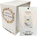 14 Packs Ocean Scented Sachets Bag by LIFFLY