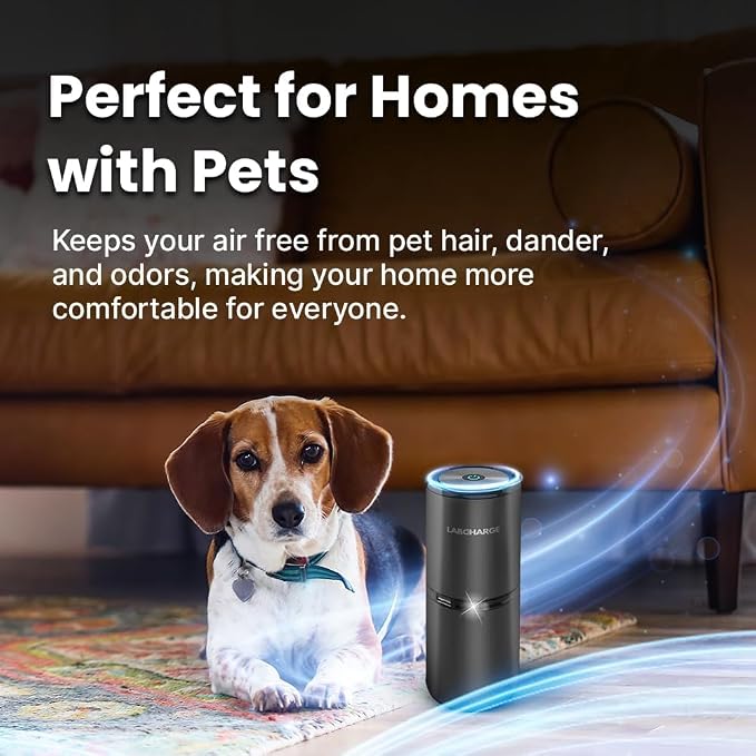 LabCharge Small Ionic Air Purifier - Image 3