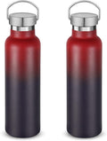 Neihepal 20 oz Insulated Water Bottles Bulk 2 Pack, Stainless Steel Double Wall by Neihepal