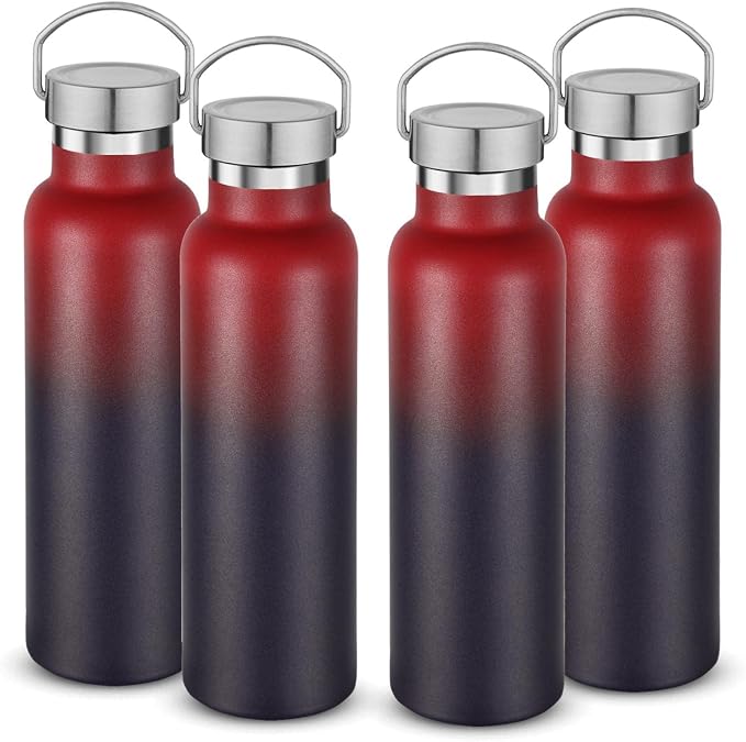 Neihepal 20 oz Insulated Water Bottles Bulk 4 Pack, Stainless Steel Double Wall by Neihepal
