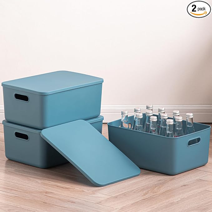 Plastic Storage Bins with lids, Storage Baskets, Container with handle by GUMEIGODA