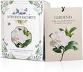 Gardenia Scented Sachet Bags by Unknown