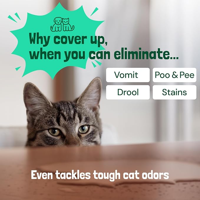 Sunny & Honey Pet Stain & Odor Miracle - Image 5