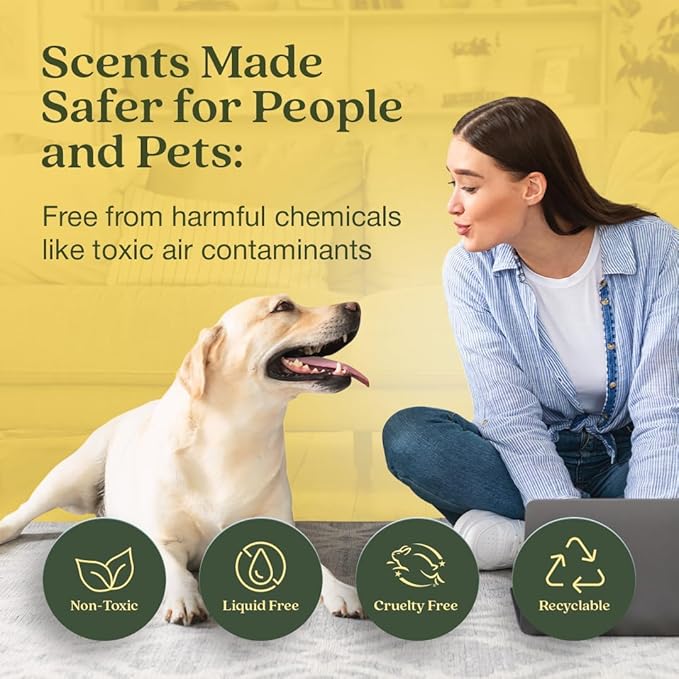 Enviroscent Non-Toxic Air Freshener - Image 2