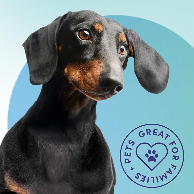 Bioesque Urine Neutralizer, Pet-Friendly Natural Enzymatic & Bacterial Formula - Image 3