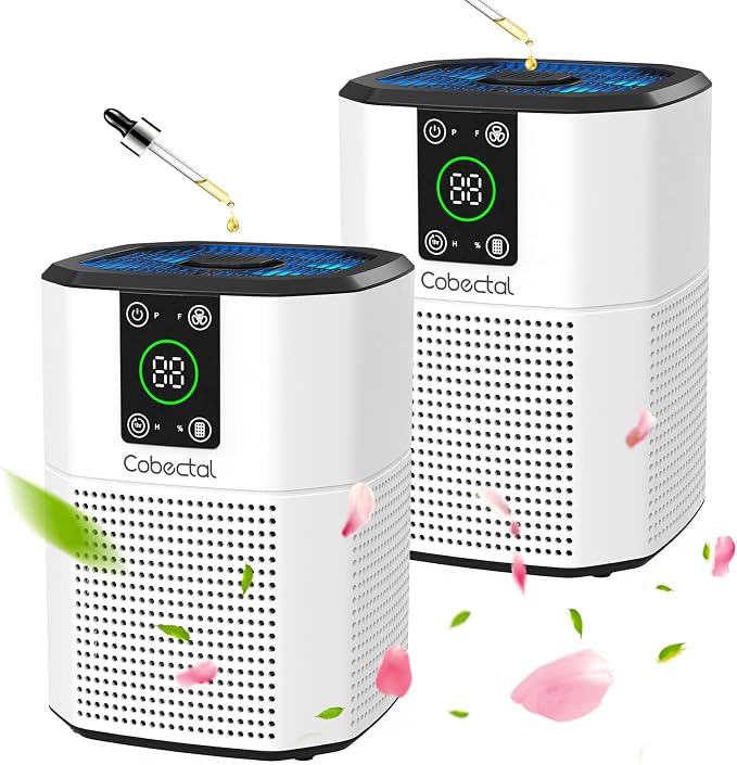 2 Pack Air Purifier for Home Bedroom, Cobectal Room Air Cleaner by cobectalsupplier