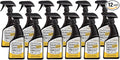Flitz Stainless Steel & Chrome Clean - 16oz Bottle by FlitzInternationalLTD