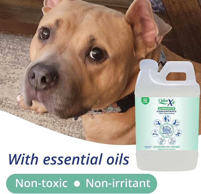 Concentrated Pet Urine Odor Eliminator, Dog Poo and Urine Smell, Versatile & - Image 4