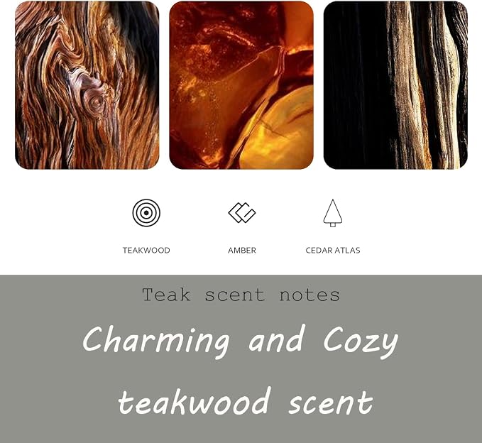 Teak Air Freshener, Stone Scent Starter Kit, Odor Eliminator - Image 4