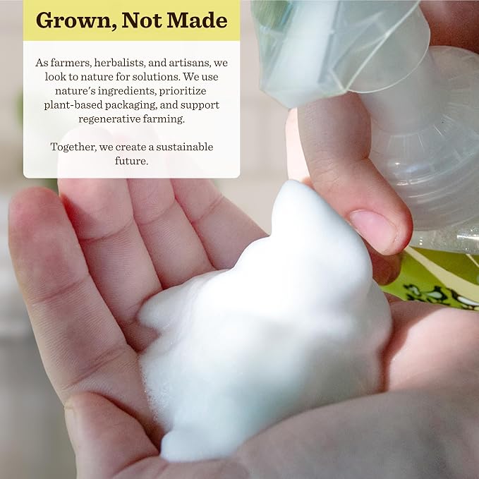 Moon Valley Herbal Foaming Hand Soap, Lemon Rosemary Two Pack, Recyclable Bottle - Image 4