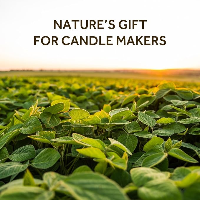 NORVENCE Soy Wax for Candle Making, Natural Soy Wax Flakes 20lb, Premium Candle - Image 2
