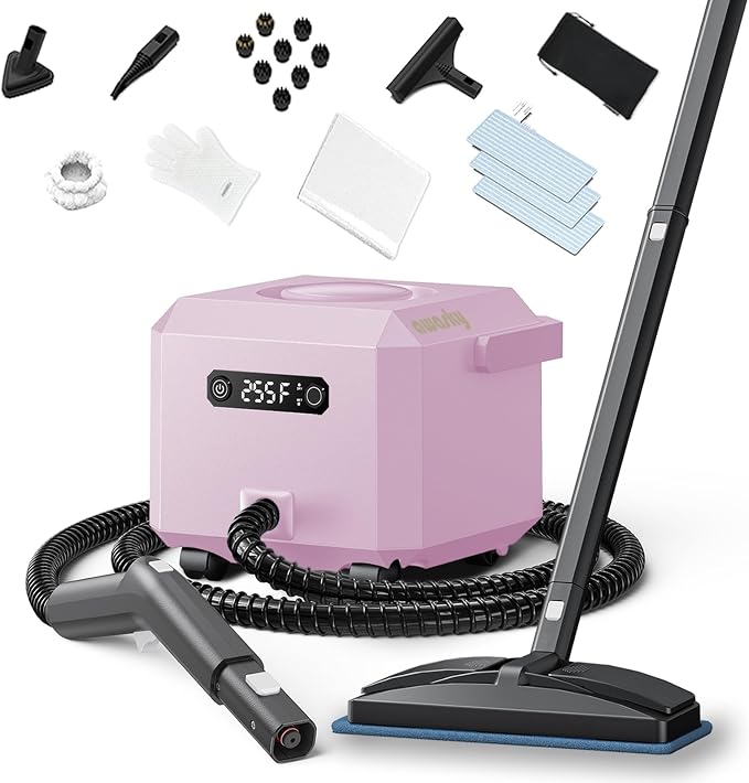 Steam Cleaner: 1650W, Fast 50-Sec Heat-Up-21-Piece Kit Refill Anytime-No by awasky