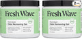 Fresh Wave Odor Removing Gel, 15 oz., Safer Odor Relief, Natural Plant-Based by FreshWave