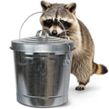 Plexon 6 Gallon Small Metal Trash Can by Plexon
