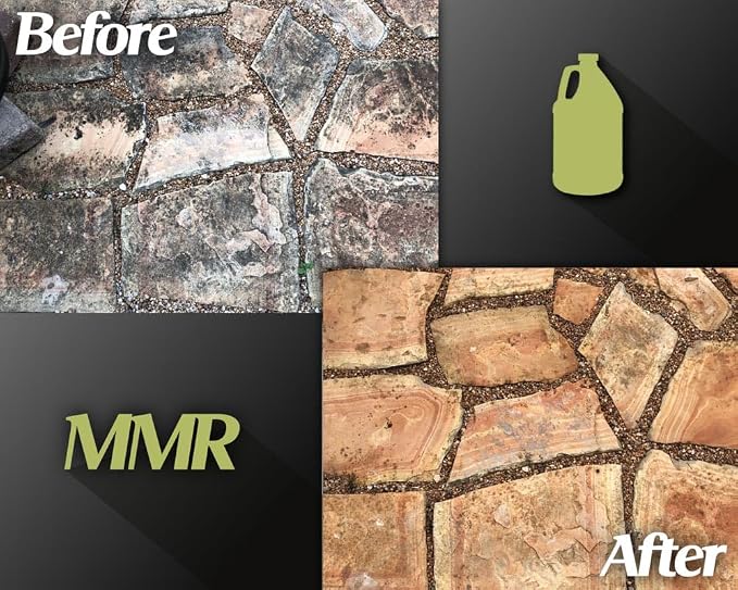 Bad Axe MMR Instant Mold Stain and Mildew Stain Remover - Image 7