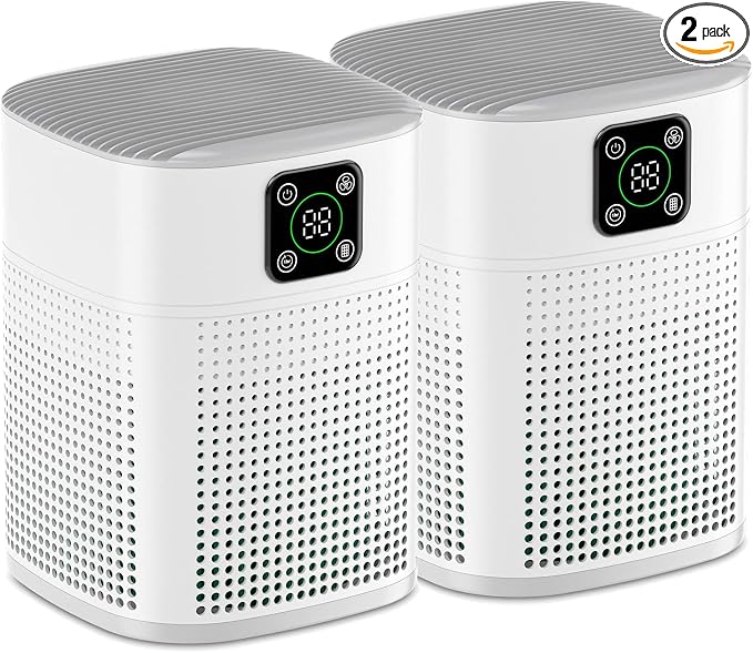 2 Pack Air Purifiers for Home Bedroom up to 650ft², Honeyuan H13 HEPA Air by HONEYUAN