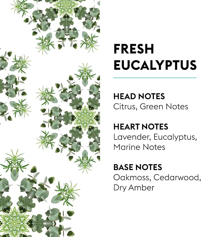 MAISON BERGER - New Fresh Eucalyptus - Lampe Berger Fragrance Refill - Image 2