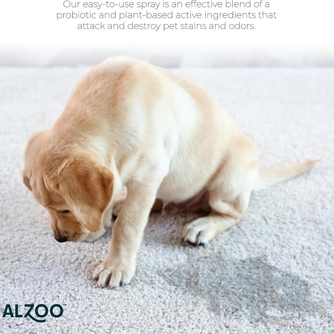 ALZOO Concentrated Stain & Odor Remover Refill Bottle, 100% Plant-Based Active - Image 3