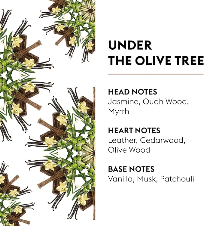MAISON BERGER - Under The Olive Tree - Lampe Berger Fragrance Refill - Image 2