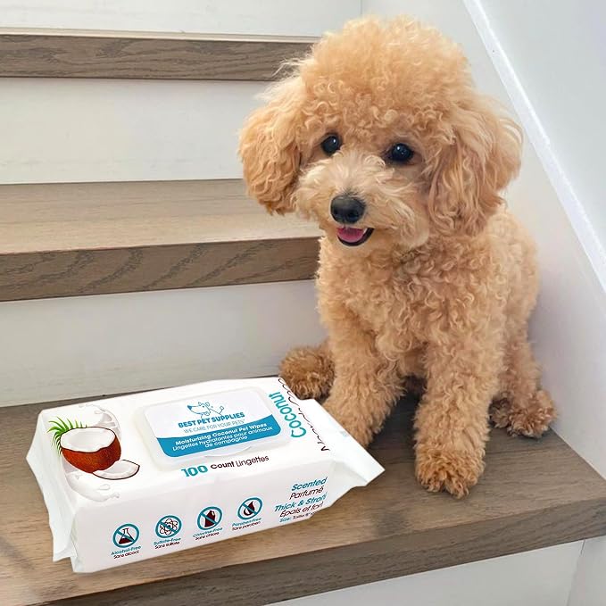 Best Pet Supplies Pet Wipes for Dogs - Image 6