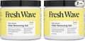 Fresh Wave Lemon Odor Removing Gel, 15 oz., Natural Plant-Based Odor Eliminator by FreshWave