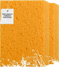 2 PCS Large Natural Cellulose Sponges 6x4x2 Inch by MtJun