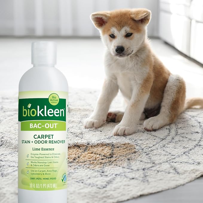 Biokleen Bac-Out Carpet Stain Remover Enzymatic, Destroys Stains & Odors Safely - Image 8