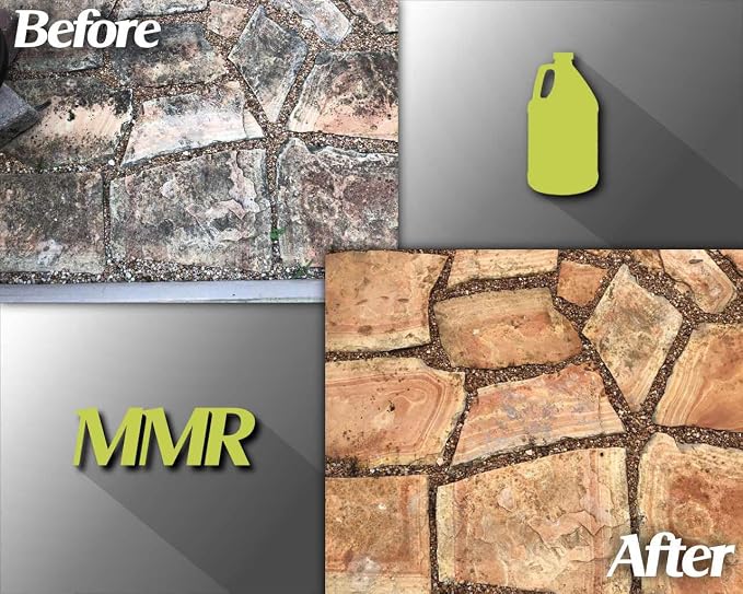Bad Axe MMR Instant Mold Stain and Mildew Stain Remover - Image 8
