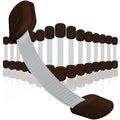 Baby Proofing Child Safety Locks by Skyla Homes by SkylaHomes
