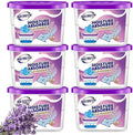 NATRUTH Moisture Absorbers 10.5OZ*6-Pack by HOME