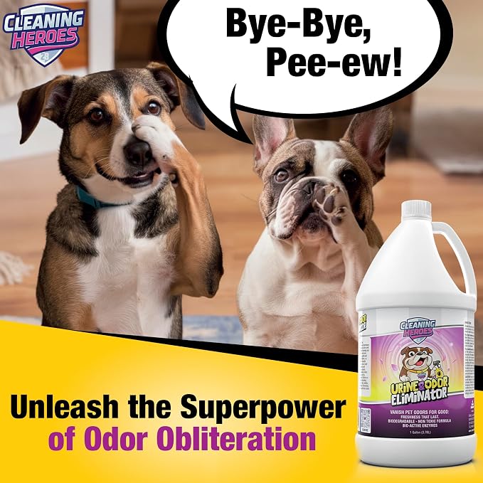 Pet Carpet Cleaner & Urine Odor Eliminator - Image 7