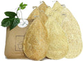 Natural Loofah Dish Sponge by MiwPiw