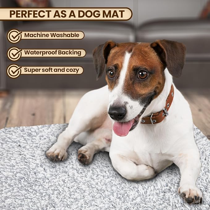 Premium Microfiber Indoor Door Mat – 32"x48" Washable Entry Mat, Waterproof - Image 6