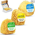 Baby Buddy Baby Bath 4in Assorted Sea Sponges, Absorbent Natural Sea Sponge by BabyBuddy
