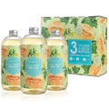 ROMIIE ZOI Liquid Hand Soap Refills Gift Set – Cucumber & Melon Scent – 3 x 26 by ROMIIEZOI